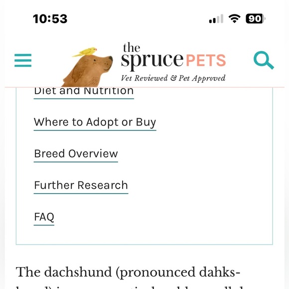 Wiener Dog Funny Coffee Mug Dachshund Doxie 11oz Cup Gift NWT - Picture 7 of 10